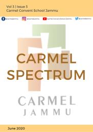 Carmel Spectrum-Newsletter - Vol 3 Issue 3